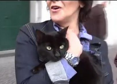Um animal de estimação que vive melhor que o homem
