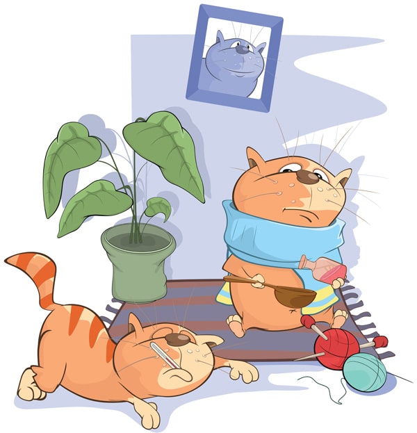 Sintomas em um gato