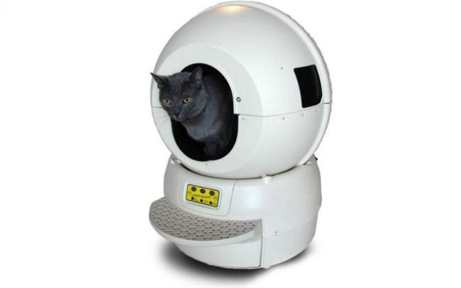 Banheiro automático para gatos