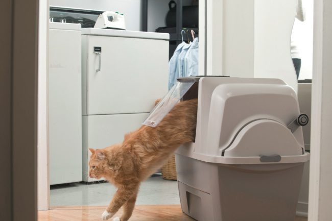 Banheiro automático para gatos