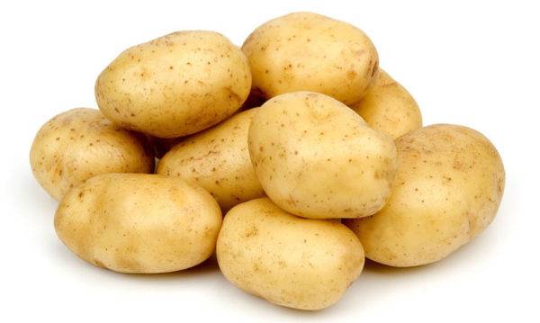 Batata para cães