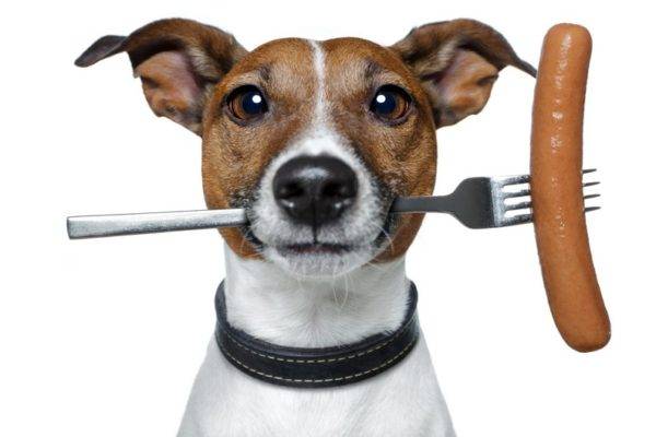 Linguiça para cães
