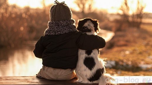 Menina abraça um cachorro