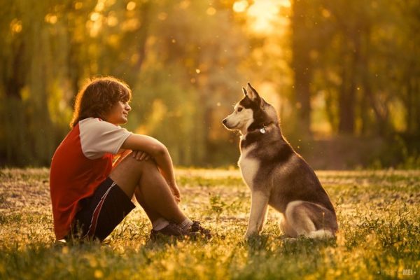 Como se tornar um líder para um cachorro, leia o artigo
