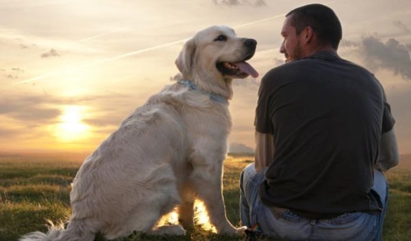Cachorro e homem