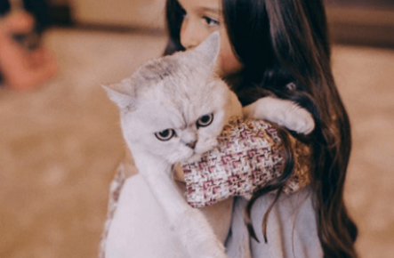 O gato de Borodina nos braços