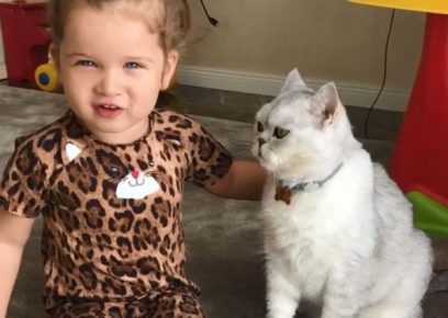 Filha Borodina com um gato