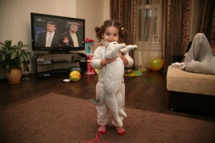 O gato de Borodina e sua filha