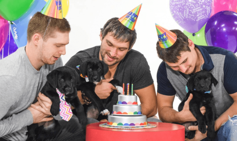 Ovechkin com amigos e cachorros