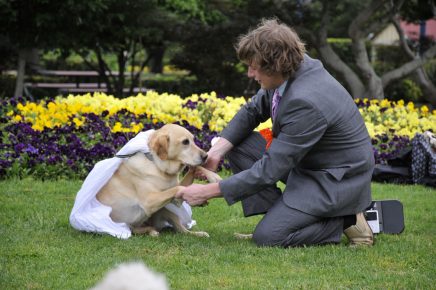 Casamento entre homem e cachorro