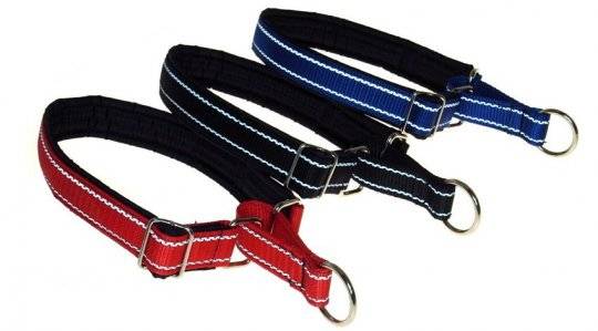 Coleiras de treinamento para cães