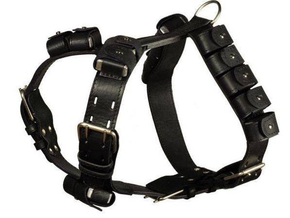 Faixa para peitos para cães