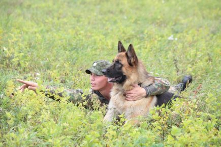 Cães de serviço da Guarda Russa foram treinados novamente em Tyumen