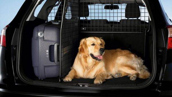 Viajar para o exterior em um carro pessoal