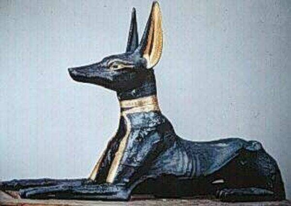 Cachorro e religião